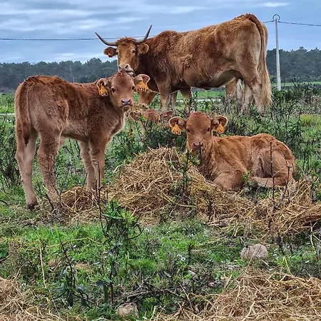 Herdade Da Vagem Сasa de vacaciones Rogil