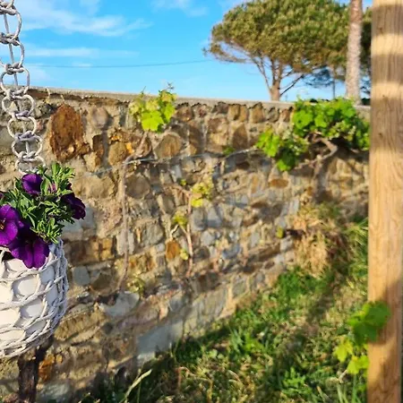 Herdade Da Vagem Dom wakacyjny