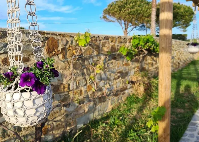 Herdade Da Vagem בית נופש